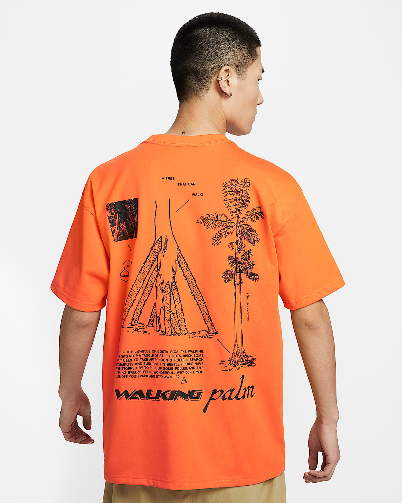 Nike ACG "Walking Tree" Dri-FIT 男子速干T恤