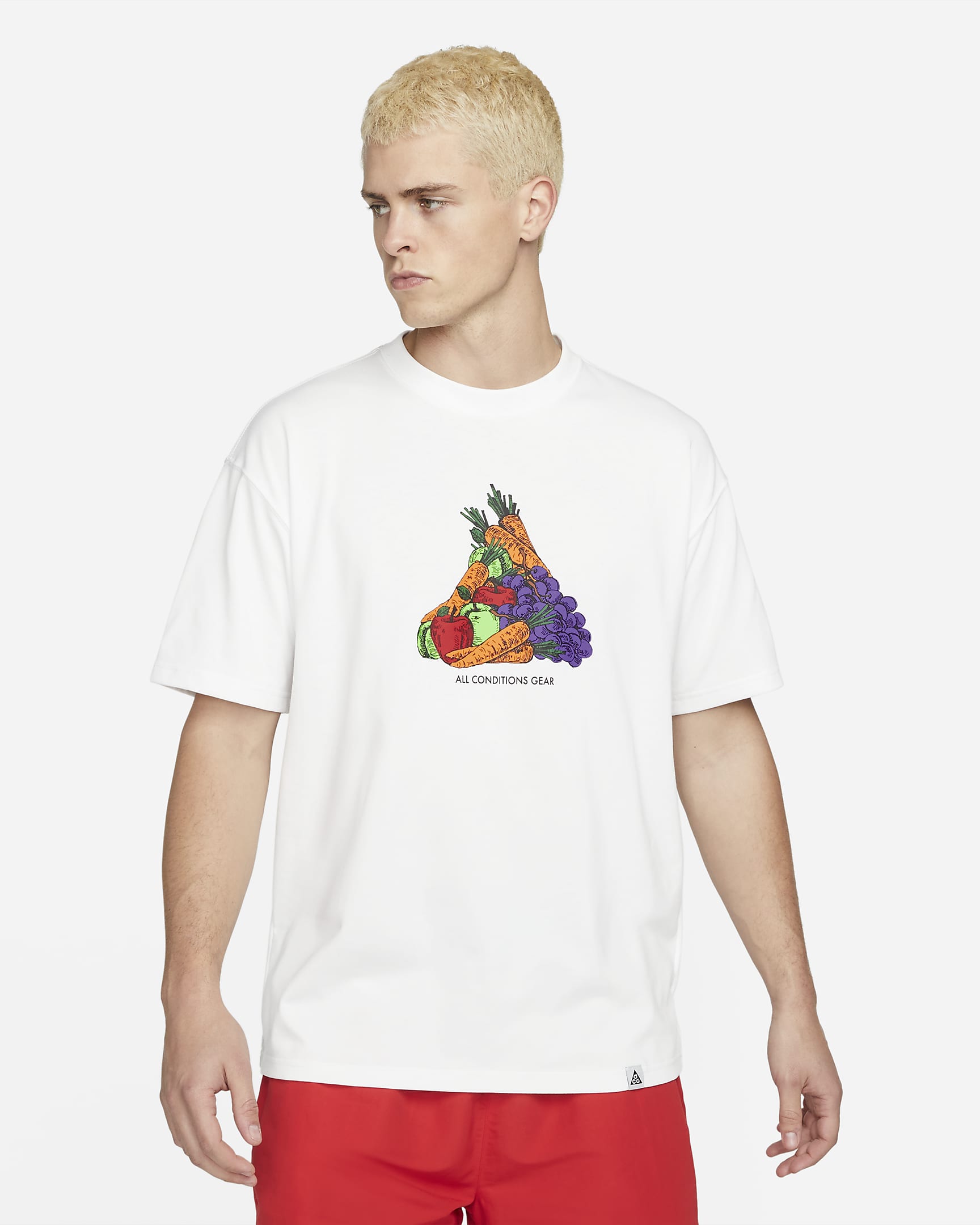 Nike ACG "Fruit and Veggies" 男子T恤 - 山峰白