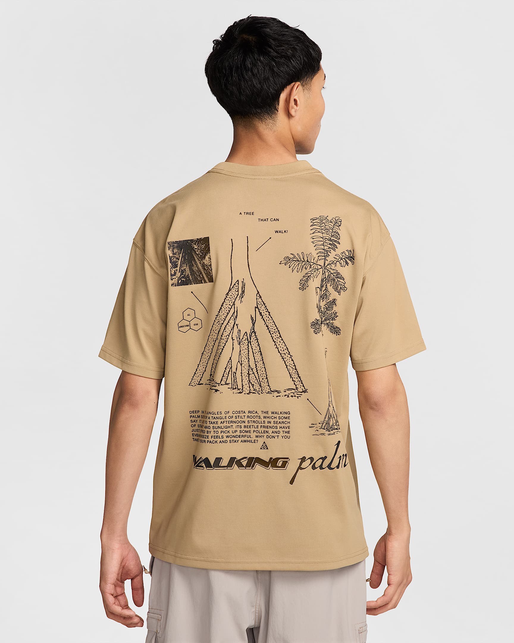 Nike ACG "Walking Tree" Dri-FIT 男子速干T恤 - 杏茶色
