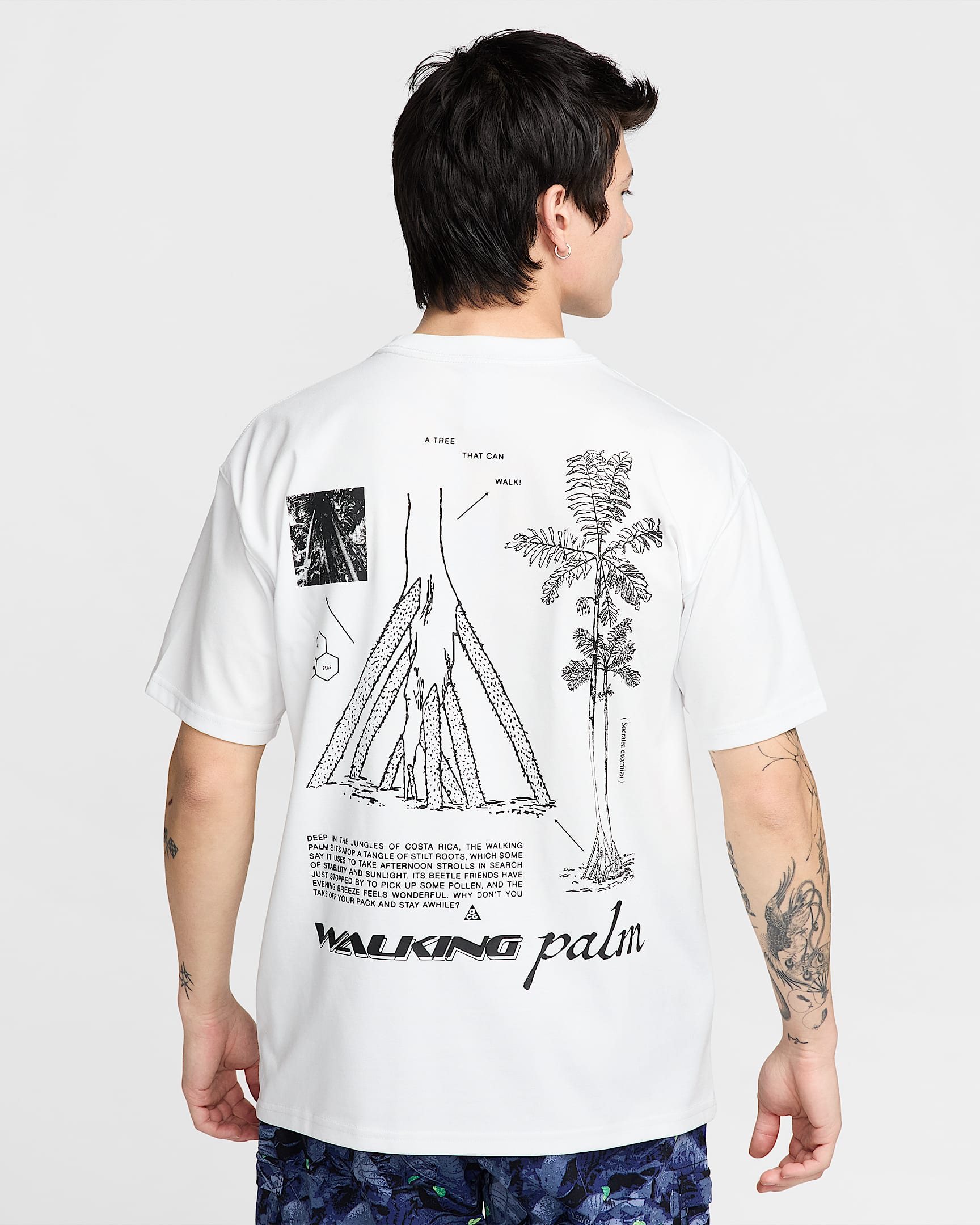 Nike ACG "Walking Tree" Dri-FIT 男子速干T恤 - 山峰白
