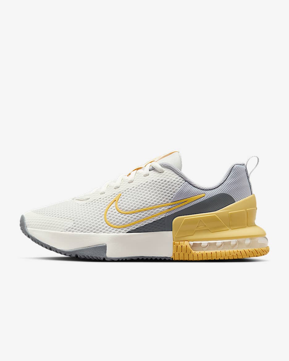 Nike Air Max Alpha Trainer 6 男子训练鞋 - 帆白/浅烟灰/烟灰/土星金