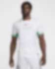 Low Resolution 2024 赛季尼日利亚队主场球迷版 Nike Dri-FIT 男子速干足球球衣