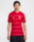 Low Resolution 2025 赛季成都蓉城主场球迷版 Nike Dri-FIT 男子速干足球球衣