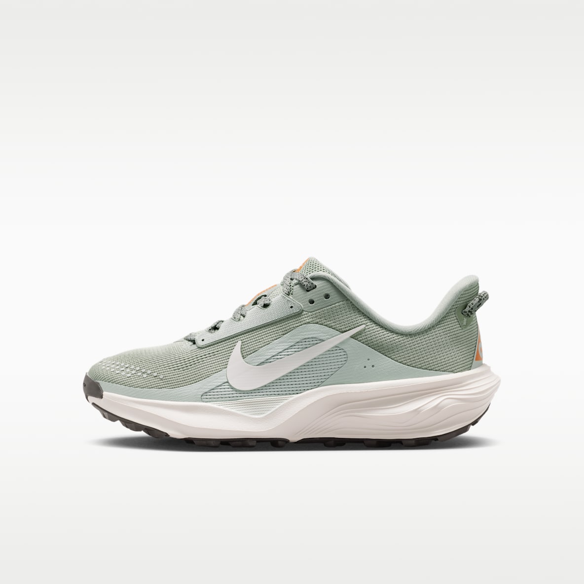 Nike ACG Pegasus Trail 耐克小飞马大童跑步鞋