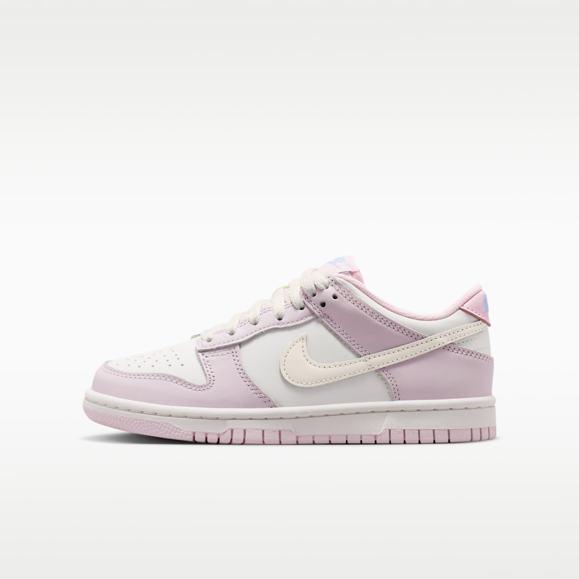 Nike Dunk Low 大童运动鞋