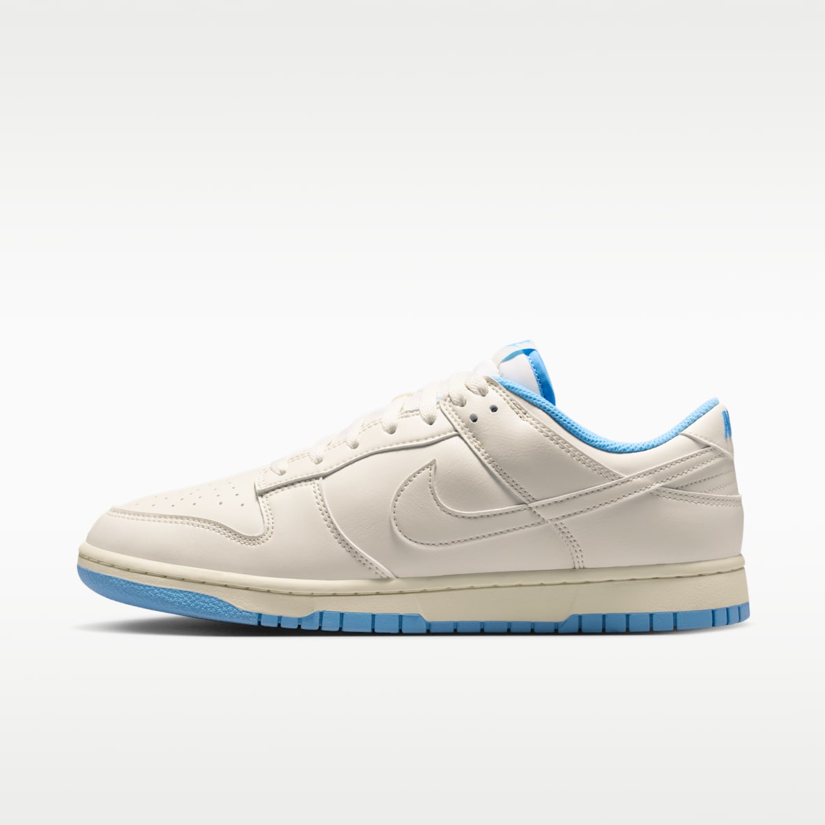 Nike Dunk Low Retro 男子运动鞋